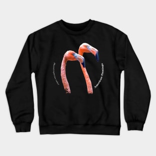 American flamingo tropical bird pin white text Crewneck Sweatshirt